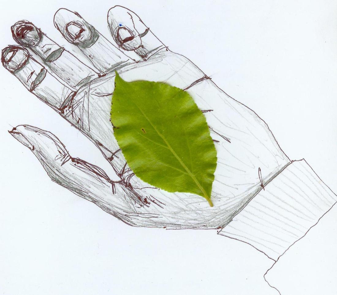 leaf in my hand